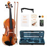 Gv404 Glarry Orchestral Full Size Acoustic Violin Fiddle Kit Matt Instrument