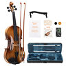 Yd-sy-80667137 Gv406 4/4 Acoustic Violin Kit Natural With Square Case Digital Metronome 2 Bow 3in1