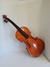 Hva-100b Francesco Cervini Violin Body Needs Repair
