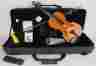 Vl-160 Ivan Dunov Eastman Strings Vl 160 4 Violin Soloist Carbon Bow Protec Case