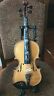 Jerry Furr In Floral Decorated Full Size Violin Robust Sound