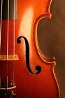 Jtl Fine Antique French Geronimo Barnabetti Violin With Deep Strong