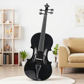 Jt-12295064 Juhomiee 4/4 Full Size Acoustic Violin Set - Shoulder Rest Strings Mute Black