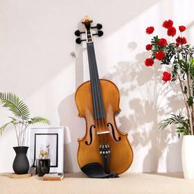 Jt-93705913 Jutrend 4/4 Full Size Student Acoustic Violin - Shoulder Rest 2 Bows Strings And Tuner