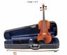 Kpo42-010 Franz Hoffman Violin Concert Full Size