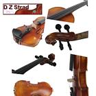 Lc101 Strad Violin Carved Top With Figured Maple