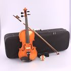 Lvn-600 Legacy Violin Full-size With