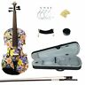 Ly1101  Kinglos Purple Pink Flower Colored Ebony Fitted Solid 701056502981