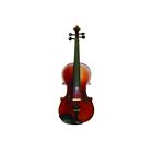 Mavk34 Merchandisers Maestro Antiqued Satin Violin Outfit 809312030244