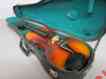 Mb1006441 Violin Sue
