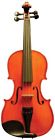 Mls110vn1-2-am Corde Di Salice Beginner Violin Package Primo