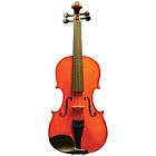 Mls110vn18am Acoustic Violins Beginner Package Primo