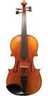 Mls130vn 4-4 Maple Leaf Strings 888365427072