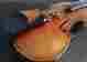 180-4 Model Alexanderviolins Beautiful 4 Size Violin Antique Varnish Evah Pirazzi Strings