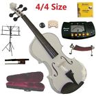 Mv300wtps Merano 4-4 Acoustic Violins 813794012698
