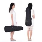 Mvz3226861177287pj Ammoon Solid Silent Electric Violin Black Maple Body 799899359244