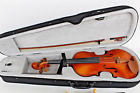 1100204 My-dreammall Glory Gloria Standard Violin
