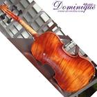 N615 Strad Violin Model Spruce Top Case Bow