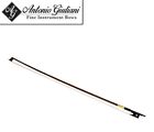 Na Kennedy Violins Giuliani Professiol 609224799037