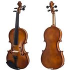 Skyvn102 Not Sky Student Violin Acoustic 4861853197790