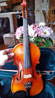 Ns20 Nagoya Suzuki Model Violin