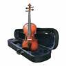 P250-18 Carlo Robelli Prima Violin Outfit Size