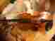 Pae803 Roderich Pawsold Paesold Violin 4 Made In Germany