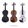 Pen6751618859401oh Ammoon Full Size Electric Violin Set Solid Wood Silent Fiddle