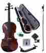 Pod01-3 4 D Luca Dluca 3 Orchestral Series Violin Flamed Back Package 805232127620