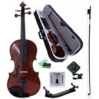Pod01-4-4 Dluca Student Violin Acoustic 805232127521