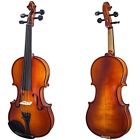 Pttvn10a-1-2 Paititi Size Solid Wood Ebony Fitted Violin With 745313278370