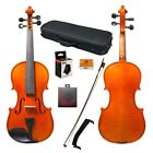 Pttvn302p-1-2 Paititi Size Intermediate Level Plus Violin Case Bow 745313289314