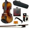 Ptvn104-4-4 Sky Music Full Size Solid Wood Student Violin Complete Package
