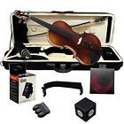 Ptvnsh300-3-4 Paititi Violin 745313276154