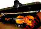 Pv800 Snow Liuthieria Advance Violin New