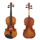 Rjn0743961875531hn Ammoon Size 4-4 Violin 602747280334