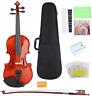 Romack Violin For Kids Adults 1/8 In. Maple Spruce Case Rosin String Included