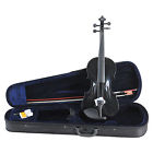 Vg001 Rosin Acoustic Case Outfit Beginners Bow Aileen Violin Student