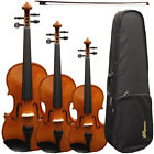 Rviolin Rossetti New Student Deluxe Spruce Top Violin Ensemble With