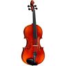 Rwsvnacii34 Ren Wei Shi Academy Ii Series Violin Outfit 656238051071