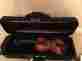 S805h Franz Werner Violin 1 4