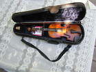 Vn120004 Serial Number Stringworks Preowned 1-2 Size Crescendo
