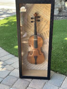 Shadow Jp0007 Violin Box Display