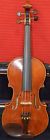 Sofia Vesko Apostolov Violin Bows And Case