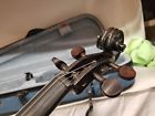 Stentor Harlequin Series Violin Outfit Black Spartan