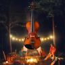 Strad-f021 Fomioo Beginner Violin Fiddle Suit Rest Rosin Bow Case Mute