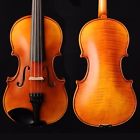 Stv-017ce Stv 017ce Scott Cao Violins