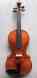 Stv-750es Il 2014 Scott Cannone European Violin 4 Woods 1743 Cao