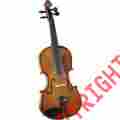 Sv-100 Cremona Premier Novice Series Violin Outift 1 4 Size 688382007154