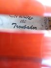 T01013 Yes Free Austin Texas Violins Troubadour With Case Shipping